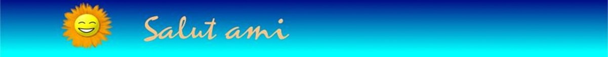 Salut-ami_thumb3_thumb[2]