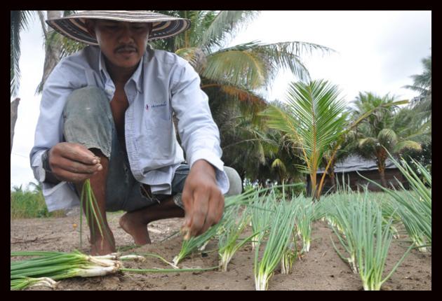 ENCUENTRO DE DIRIGENTES CAMPESINOS Y AGRARIOS DE LA REGIÓN CARIBE