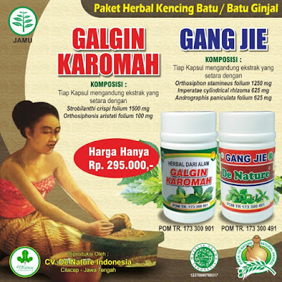 obat kencing batu,obat batu ginjal,cara menghilangkan kencing batu,obat penghancur batu ginjal