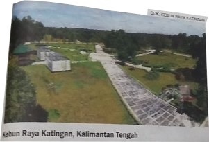 lokasi dan foto kebun raya katingan