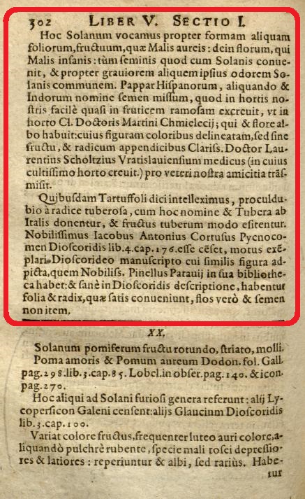 Первое научное описание картофеля (Solanum tuberosum), сделанное швейцарским ботаником Каспаром Баугином в работе «Phytopinax» (1596 год)