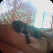IMAG0256