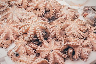 Photo of octopuses by Gary Sandoz on Unsplash