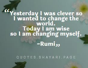 Rumi Quotes-Changing myself Quotes