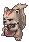 koko
