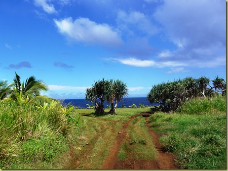 road to cliffs above ocean