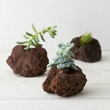Los Granulados de Lava Roca, especiales para sus creaciones en jardines,  terrarios y macetas., By Lava Roca