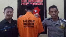 Curi Handphone Tetangga, Sopir Warga Talang Padang Ditangkap Tekab 308 Polres Tanggamus