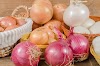 Top 5 healthy benefit's of onion.
