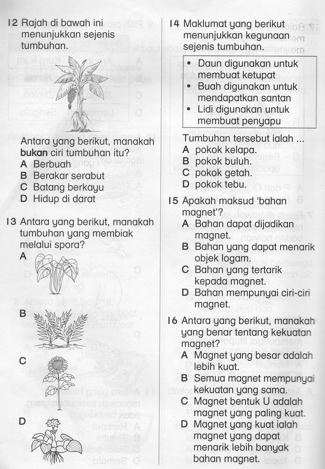 DUNIA SAINS DAN TEKNOLOGI: SOALAN OBJEKTIF