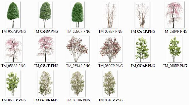 Photoshop Trees Png 07