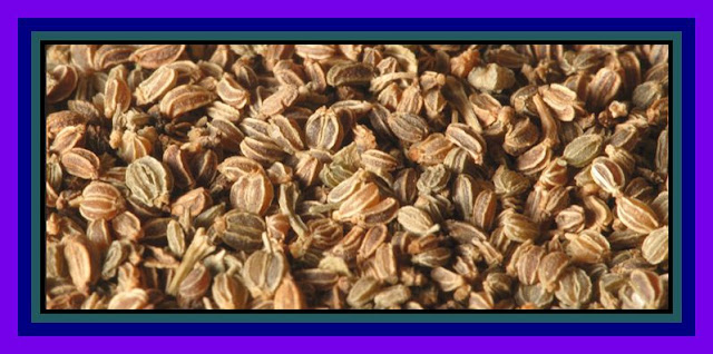  Celery Seed High Blood Pressure