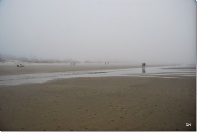 03-20-15 C Jekyll Island (99)