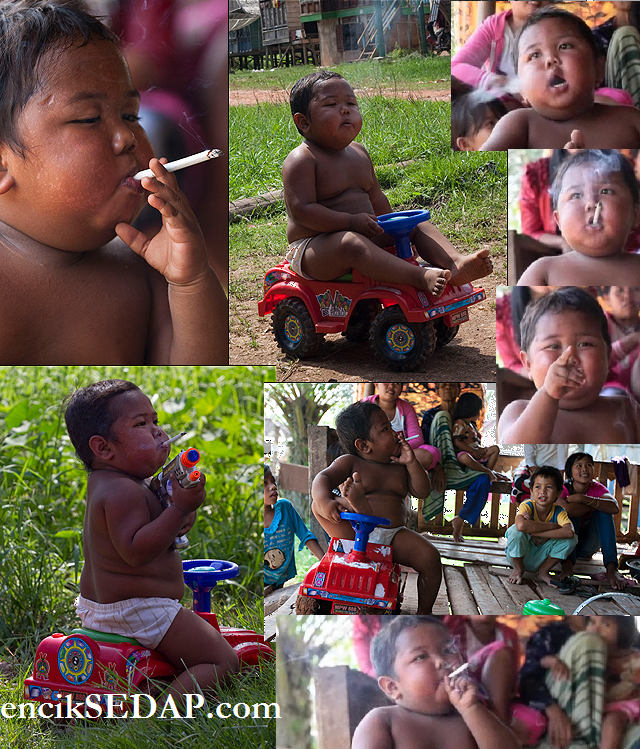 smoking 2 year old budak umur 2 tahun merokok