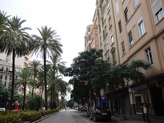 Beautiful palm trees photo in Valencia street   - Spain