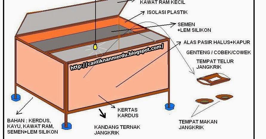 usaha ternak telur ayam