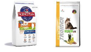 dry food for cats