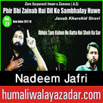 http://www.humaliwalayazadar.com/2015/04/nadeem-jafri-nohay-2011-to-2016.html