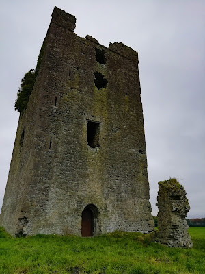 Tinnakill Castle, Laois