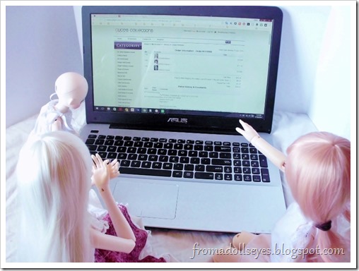 Naming Our Newest Doll and a Little News: Dolls doing a little online shopping