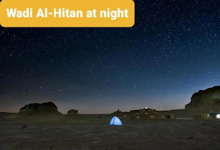 Camping and safari in Wadi El Hitan سماء وادي الحيتان ليلا     معلومات عن وادي الحيتان All we need to know about Wadi Al-Hitan