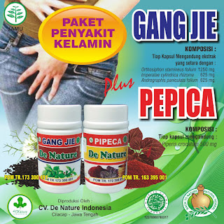 Obat Sipilis dengan Ramuan Tradisional Mujarab