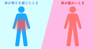 暖かいときと寒いときの、体の反応をイラスト化。詳細は後述。