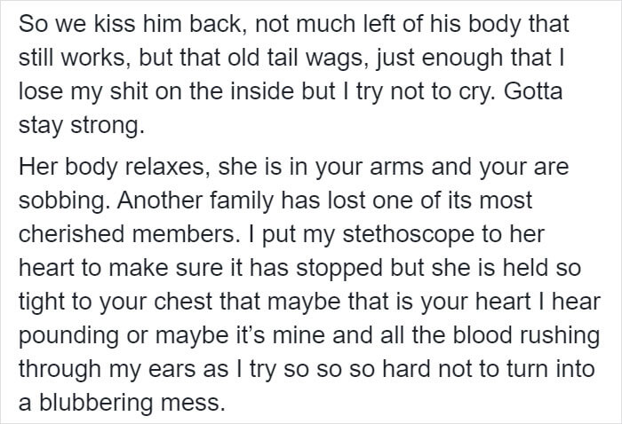 Vet Shares Heartbreaking Post Revealing The Truth About Euthanasia