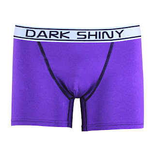 DARK SHINY（ダークシャイニー）メンズボクサーパンツ　プレーンカラー　パープル　商品画像フロントの写真