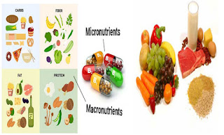 micro nutrients by aissms ioit best information technology engg college in pune