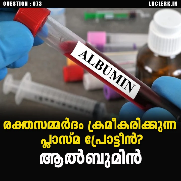 Plasma protein that regulates blood pressure?