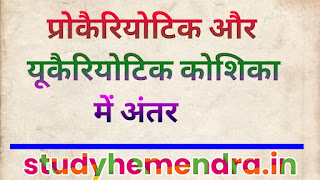 Prokaryotic and Eukaryotic, Difference between Prokaryotic and Eukaryotic, Prokaryotic koshika, Eukaryotic koshika, प्रोकैरियोटिक और यूकैरियोटिक कोशिका में अंतर, प्रोकैरियोटिक और यूकैरियोटिक, कोशिका दो प्रकार की होती है, कोशिका कितने प्रकार की होती है, कोशिका के प्रकार, कोशिका के प्रकार और उनमें अंतर, कोशिकाओं के प्रकार में अन्तर, कोशिका और उसके प्रकार और उनमें अंतर