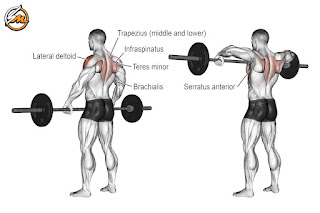 Best Shoulder Exercises for Strength and Size