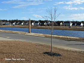 lake view from our front porch