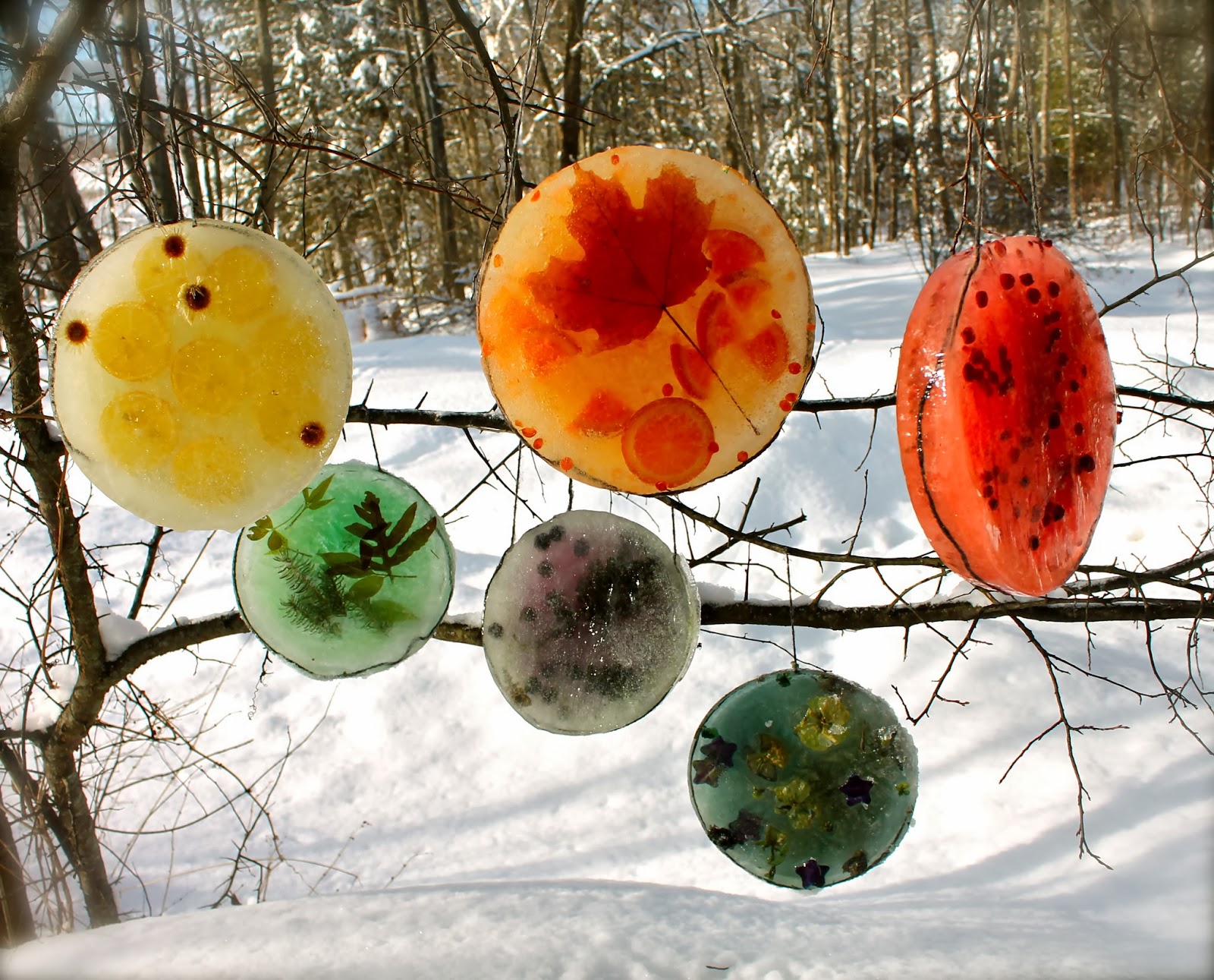 http://twigandtoadstool.blogspot.ca/2014/01/ice-rainbow-sun-catchers.html