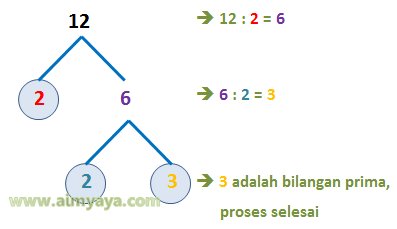  bilangan yang hanya mempunyai dua faktor pembagi  Faktor Prima dan Faktorisasi (Bilangan) Prima