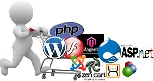 Ecommerce Web Development