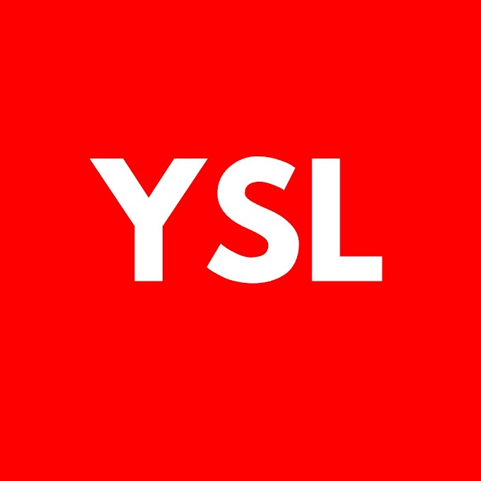 What Is The Full Form And Meaning Of YSL - RedLearn