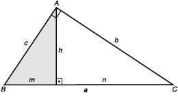 ENEM - Relações métricas no triângulo retângulo