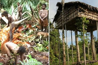  KOROWAI SUKU DI PEDALAMAN PAPUA YANG MASIH DOYAN DAGING MANUSIA