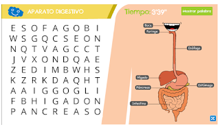 https://happylearning.tv/sopa-letras-aparato-digestivo/