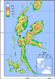Pulau  Provinsi Maluku Utara (Malut)