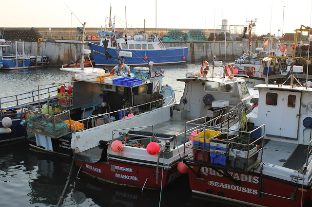 Northumbrian Food and drink Northumberland Northumbria tea beer kippers ice cream Alnwick rum Doddington Dairy Craster