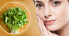 4 secrets of beauty using green coriander ... Learn how to use green coriander to enhance your beauty.