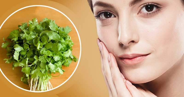 4 secrets of beauty using green coriander ... Learn how to use green coriander to enhance your beauty.