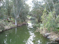 Israel Reizen: De Jordaan (rivier)