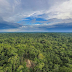 Org asli di hutan Amazon