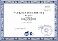 http://lalelle-cats.blogspot.com/p/news.html