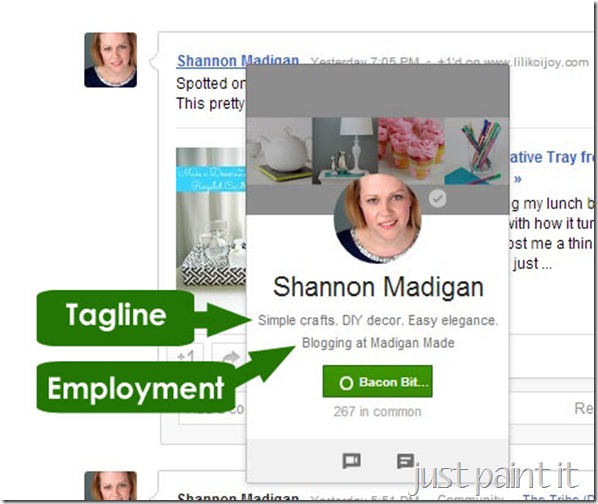 Mini Profile Example 1 copy