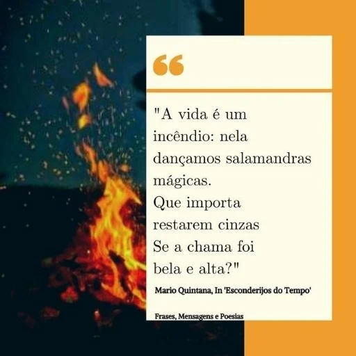 A Vida é Um Incêndio